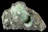 Prehnite Crystal Cluster on Matrix - Connecticut #91232-1